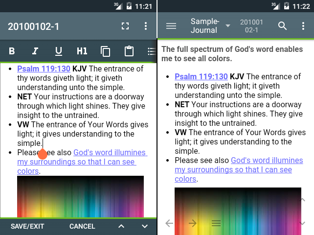 Journal editing and view Journal editing and view
